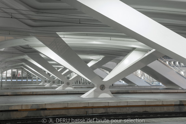 gare de Liège-Guillemins 
Liege-Guillemins railway station
